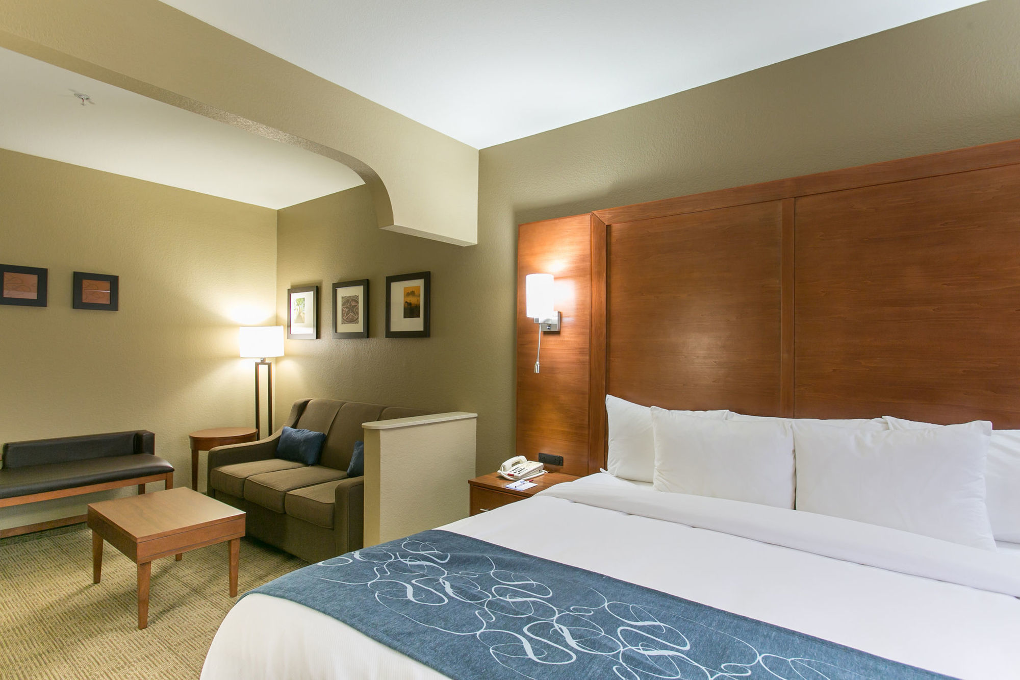 Comfort Suites Austin Nw Lakeline Værelse billede